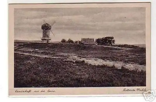 17691 Ak Zetteritz Mühle Landschaft aus der Senne 1940