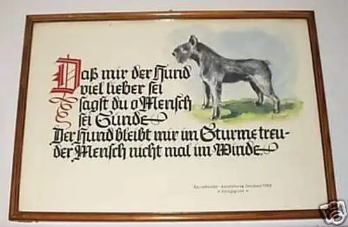 Gemalte Urkunde Rassehunde-Ausstellung Zwickau 1955