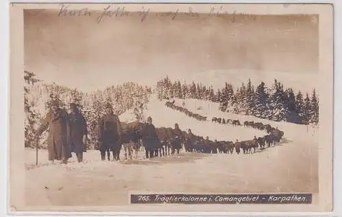 36629 Feldpost Ak Tragtierkolonne im Comangebiet - Karpathen 1918