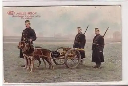 50372 Ak Armee Belgien Hundegespann mit Maschinengewehr 1915