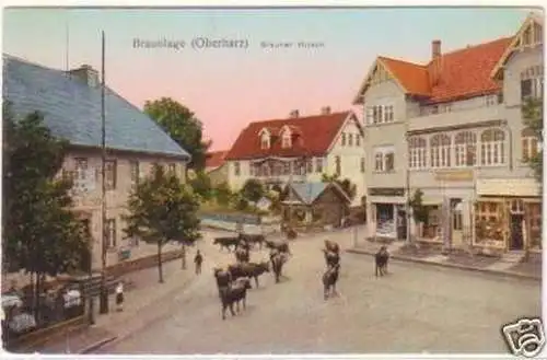 29654 Ak Braunlage Oberharz Brauner Hirsch um 1920