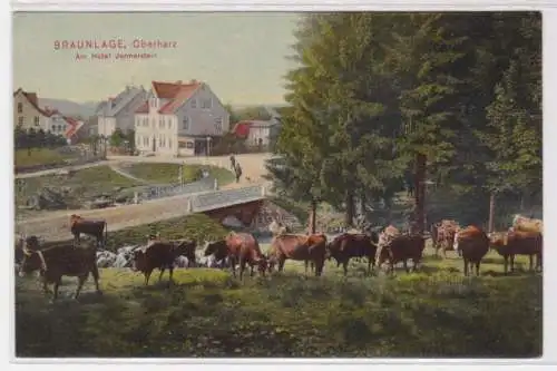 62067 Ak Braunlage im Oberharz - Am Hotel Jermerstein, Wiese mit Rindern 1909