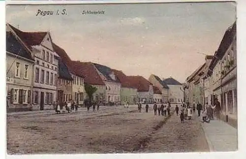 37012 Ak Pegaus in Sachsen Schlossplatz 1908