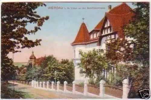 25131 Ak Werdau Villen an der Schützenstraße 1911