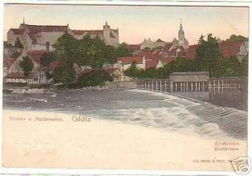 14877 Ak Colditz Schloss und Muldenwehr 1907