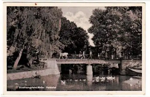 70597 Ak Stadtlengsfeld Rhön Feldatal 1956