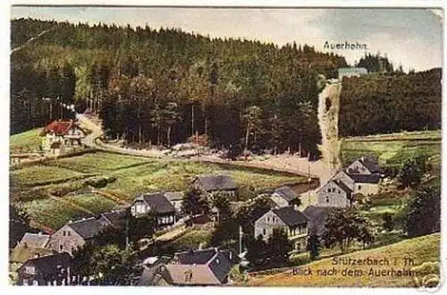 09573 Ak Stützerbach in Thüringen Auerhahn 1911