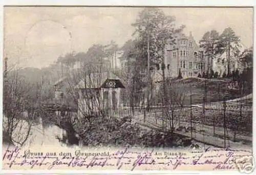 09584 Ak Gruß aus dem Grunewald am Dianasee 1906