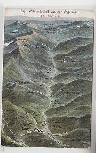 66277 Ak Lam Eisenstein Bayr. Waldlandschaft aus der Vogelschau um 1910