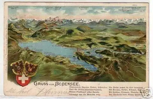 09702 Ak Lithographie Gruß vom Bodensee 1906