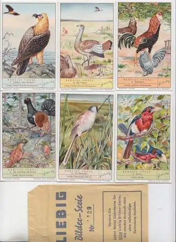 Liebigbilder Serie 1129 "Bärtige Vögel" komplett 1939 (109343)