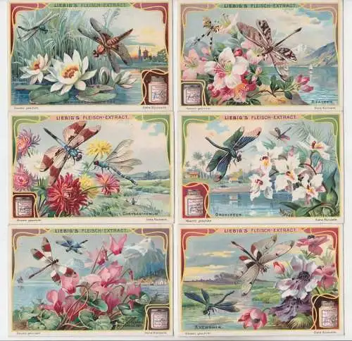 Liebigbilder Serie 725 "Blumen und Insekten" komplett 1908 (109724)