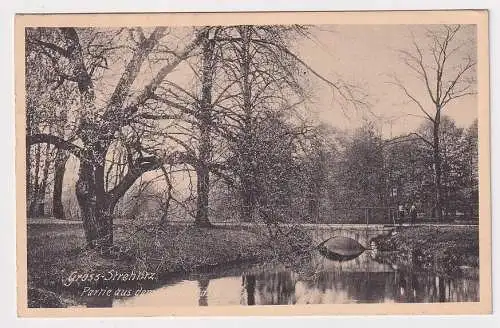 904478 Ak Gross Strehlitz Strzelce Opolskie Partie aus dem Schloßpark 1911