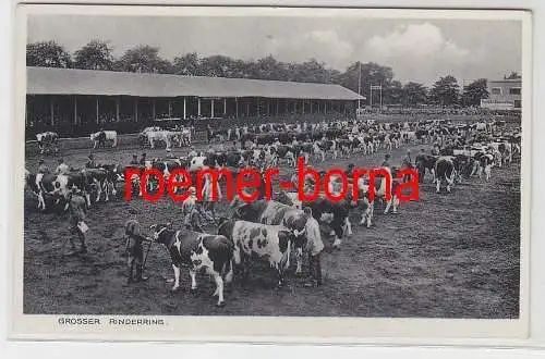 77066 Foto Ak Wirtschafts-Ausstellung Erfurt 29. Mai bis 3. Juni 1934 Rinderring