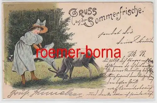 77180 Ak Lithografie Gruss aus der Sommerfrische Werdau 1898