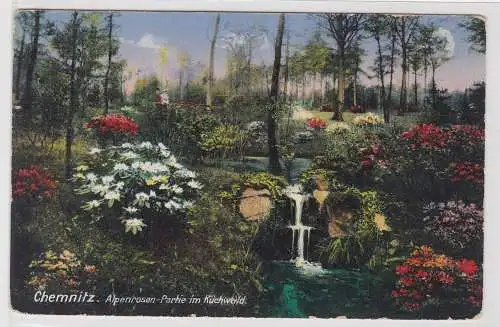 68046 Ak Chemnitz Alpenrosen Partie im Küchwald um 1910