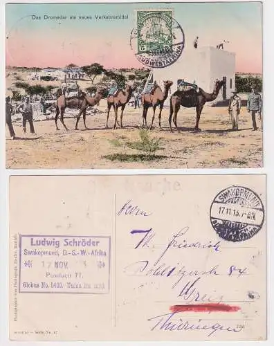 35788 Ak Dromedar als neues Verkehrsmittel Deutsch Süd West Afrika Namibia 1913