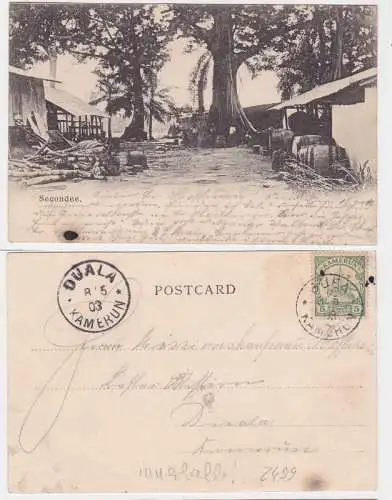 81279 Ak Secondee Buea Duala in Kamerun 1903