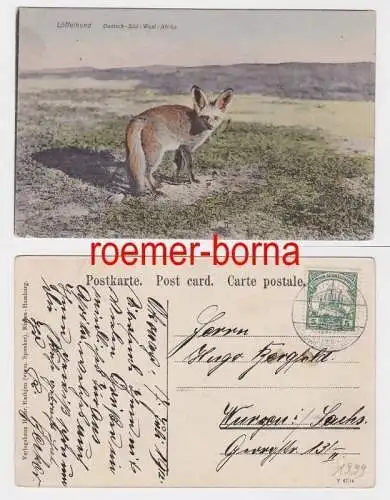 83006 Ak Karibib Deutsch Süd West Afrika Löffelhund 1912