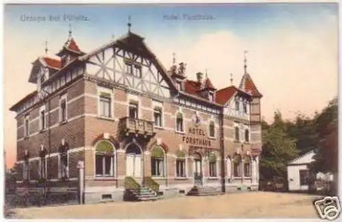 24767 Ak Graupa bei Pillnitz Hotel Forsthaus um 1910