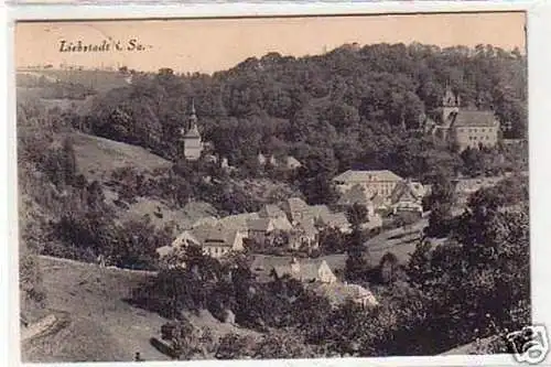 31299 Ak Liebstadt in Sachsen Totalansicht 1930