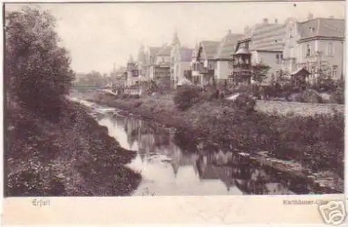 18520 Ak Erfurt Karthäuser Ufer 1906