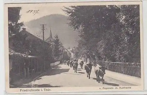 46603 Ak Friedrichroda in Thüringen v. Papenstrasse mit Kuhherde 1937