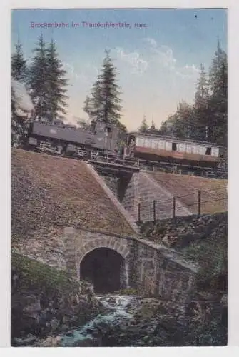 48539 Ak Brockenbahn im Thumkuhlentale, Harz um 1920