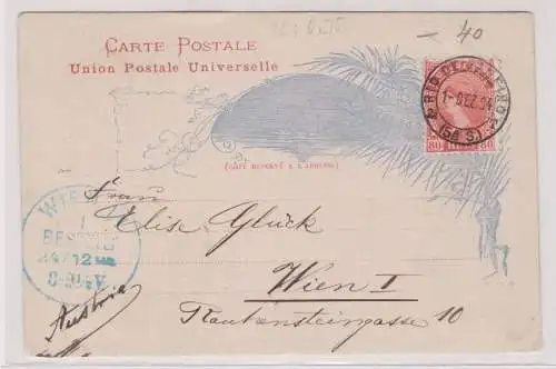 900362 seltene Ganzsachen Postkarte Brasilien 80 Reis nach Wien 1894