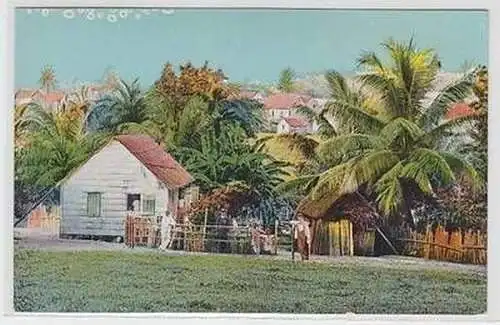 58435 Ak Nicaragua Landschaft bei Bluefields um 1910