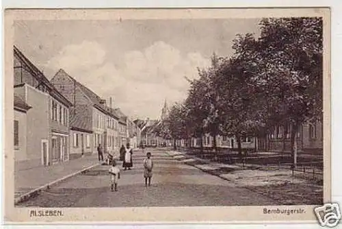 29016 Ak Alsleben Bernburgerstrasse um 1910