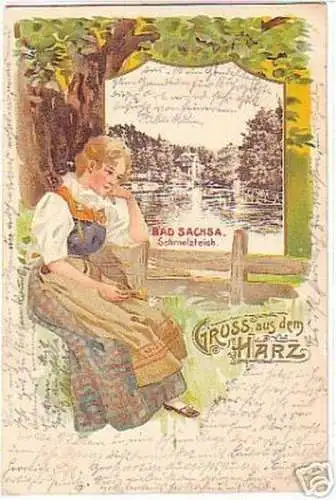 10930 Ak Lithographie Gruss aus dem Harz 1905