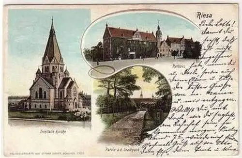 12729 Ak Riesa Rathaus, Trinitatis Kirche, Partie aus dem Stadtpark 1905