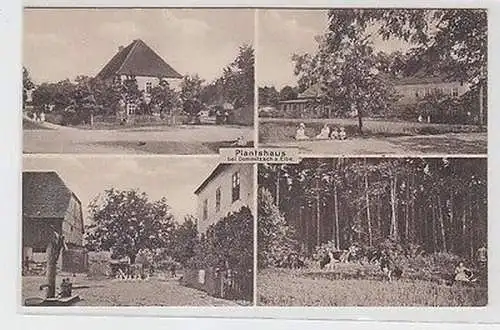 40082 Mehrbild Ak Plantshaus bei Dommitzsch a. Elbe um 1930