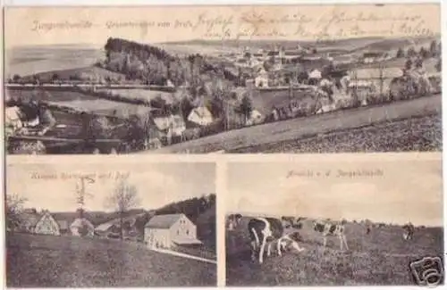 17785 Mehrbild Ak Jungviehweide in Sachsen 1910