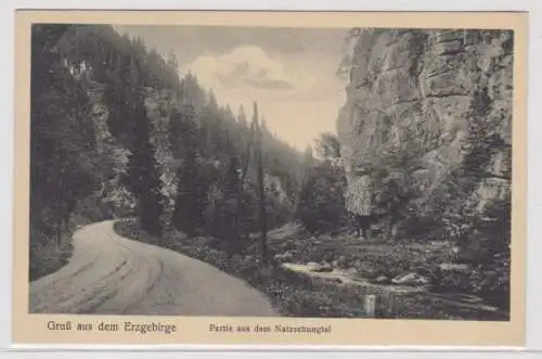 38831 Ak Gruß aus dem Erzgebirge - Partie aus dem Natzschungtal 1928