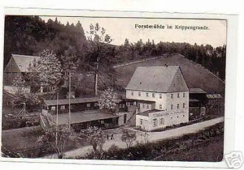 schöne Ak Gasthof Forstmühle im Krippengrund 1915