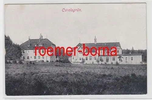 72991 Ak Carolagrün Ortsansicht um 1910