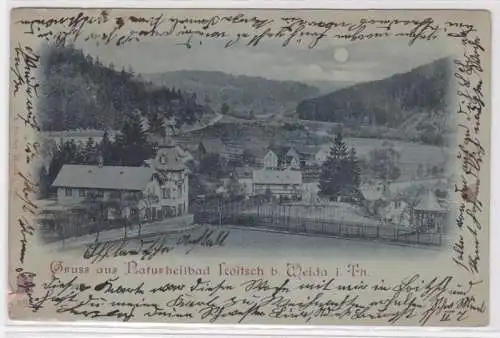 95041 Ak Gruss aus Naturheilbad Loitsch bei Weida 1900