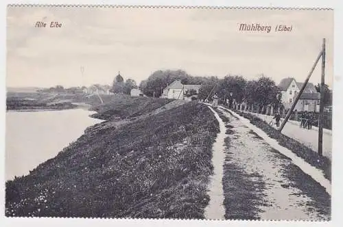 93417 AK Mühlberg (Elbe) - Alte Elbe, Dammblick