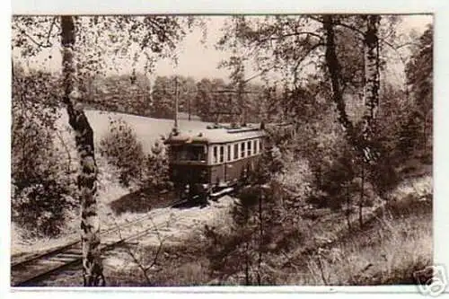 04275 Ak Buckow Märkische Schweiz Waldbahn 1962