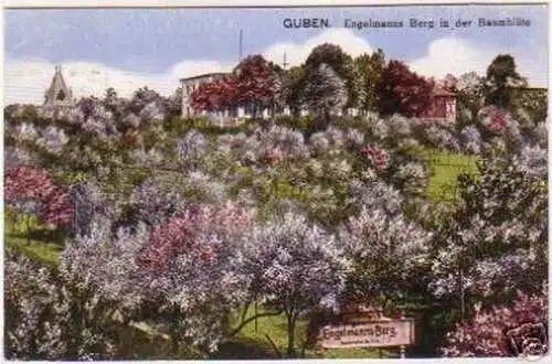 18261 Ak Guben - Engelmanns Berg in der Baumblüte 1920