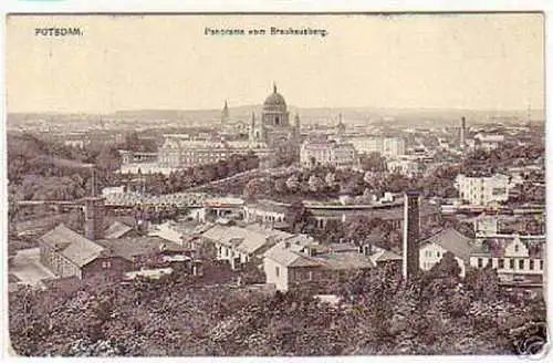 03987 Ak Potsdam Panorama vom Brauhausberg 1910