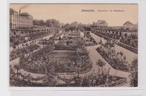 906213 Ak Chemnitz Rosarium im Stadtpark 1917