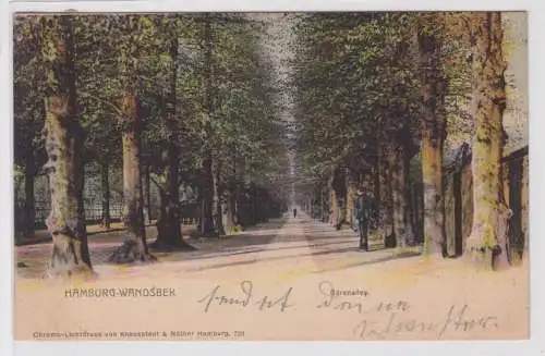 901714 Ak Hamburg-Wandsbek - Blick in die Bärenallee 1904