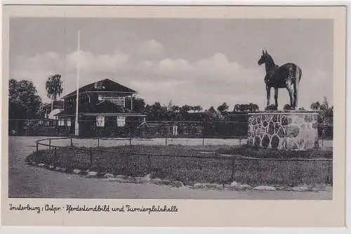 54368 Ak Insterburg in Ostpreussen Pferdestandbild und Turnierplatzhalle um 1940