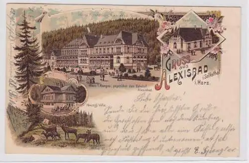 86188 AK Gruss aus Alexisbad im Selkethal / Harz - Hôtel & herzogliche Villa 189