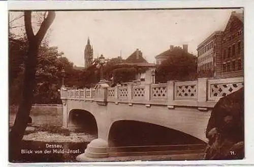 36764 Ak Dessau Blick von der Muld-Insel um 1930