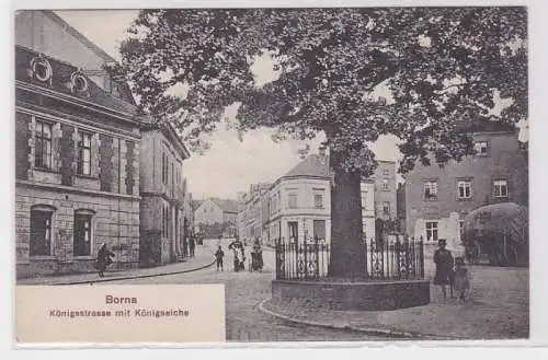 09013 Ak Borna Königsstrasse mit Königseiche 1910