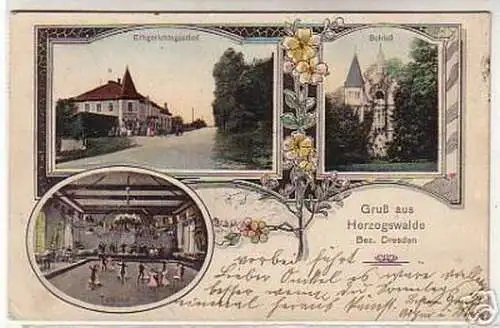 07306 Ak Gruß aus Herzogswalde Bez. Dresden 1909